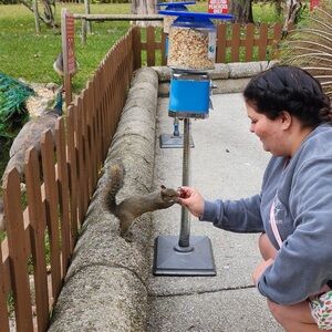 Meet your Posher, Linda